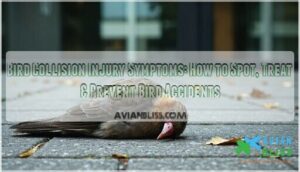 bird collision injury symptoms bird collision injury symptoms