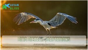 bird dietary adaptations