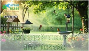 bird feeder strategies for migration season