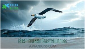 bird flight capabilities