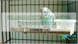 bird loss of appetite diarrhea