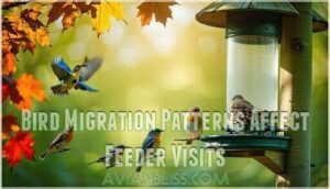 bird migration patterns affect feeder visits bird migration patterns affect feeder visits