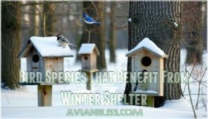 bird species that benefit from winter shelter