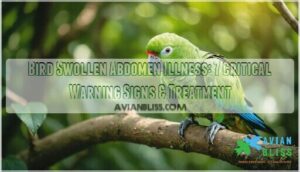 bird swollen abdomen illness
