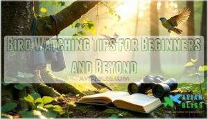 bird watching tips for beginners and beyond bird watching tips for beginners and beyond
