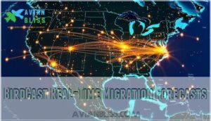 birdcast real-time migration forecasts