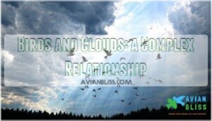 birds and clouds: a complex relationship