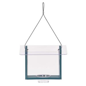 Birds Choice Bluebird Feeder 1 B0BGWZV1HT