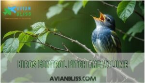 birds control pitch and volume