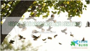 birds' fear response and behavior