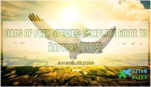 birds of prey species