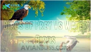 birds of prey vs water birds