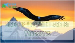 birds of prey with largest wingspans
