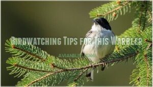 birdwatching tips for this warbler