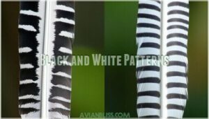 black and white patterns