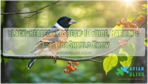 black headed grosbeak