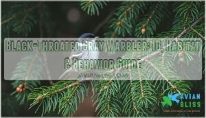 black throated gray warbler