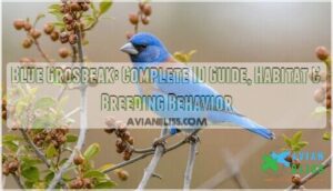 blue grosbeak