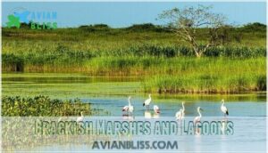 brackish marshes and lagoons