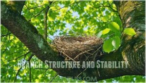branch structure and stability branch structure and stability