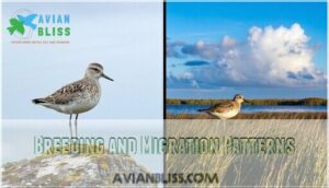 breeding and migration patterns