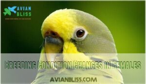 breeding condition changes in females
