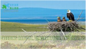breeding habitat, conservation, and threats