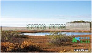 breeding habitats breeding habitats