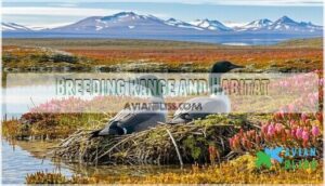 breeding range and habitat