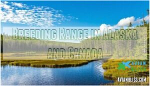 breeding range in alaska and canada