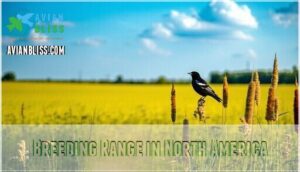 breeding range in north america