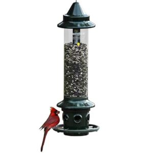 Brome Squirrel Buster Plus Squirrel B0CKXXZTLD