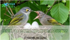 brood parasitism and breeding success