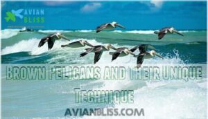 brown pelicans and their unique technique