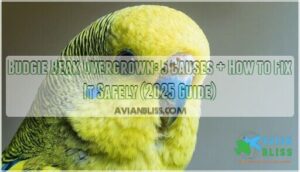 budgie beak overgrown