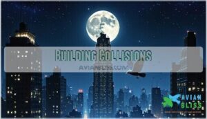 building collisions