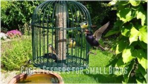 caged feeders for small birds