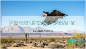 california condor conservation