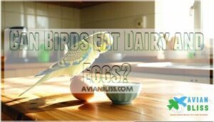can birds eat dairy and eggs
