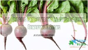 can budgies eat beetroot leaves
