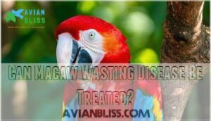 can macaw wasting disease be treated