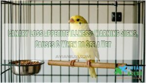 canary loss appetite illness
