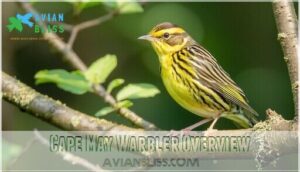 cape may warbler overview
