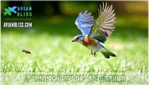 catching prey on the ground