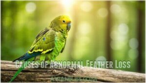 causes of abnormal feather loss causes of abnormal feather loss