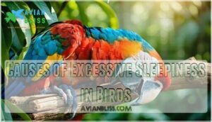 causes of excessive sleepiness in birds causes of excessive sleepiness in birds