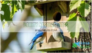 cavity nesting sites
