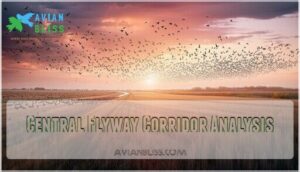 central flyway corridor analysis