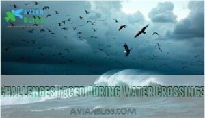 challenges faced during water crossings challenges faced during water crossings