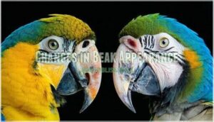 changes in beak appearance